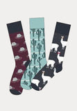3 paar sokken met Zuid-Amerika thema print