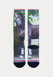Stapphorse - Paardrijsokken - 1 Paar - NL Bailey Printed